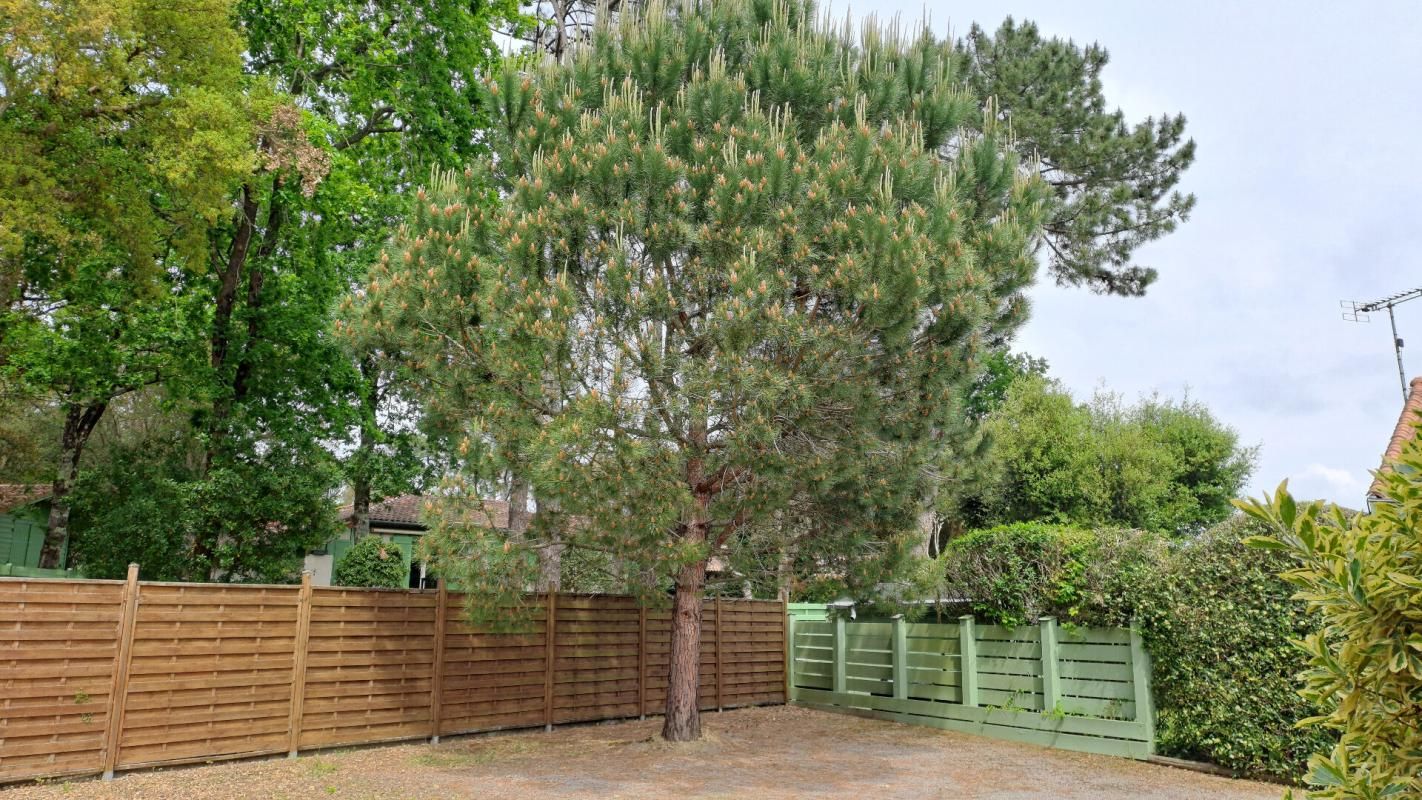 SOUSTONS Maison Soustons 5 pièce(s) 130 m2 4