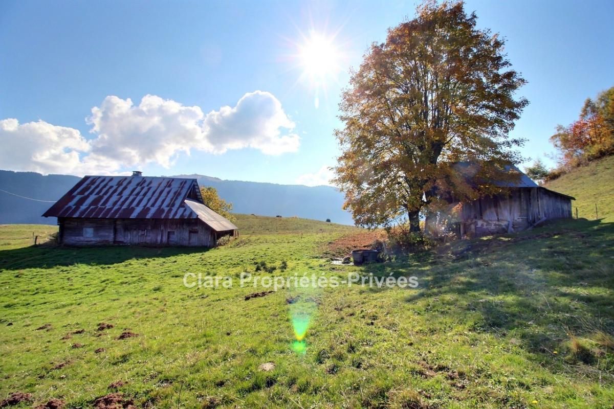 UGINE Ancien chalet à rénover au coeur de la nature 2