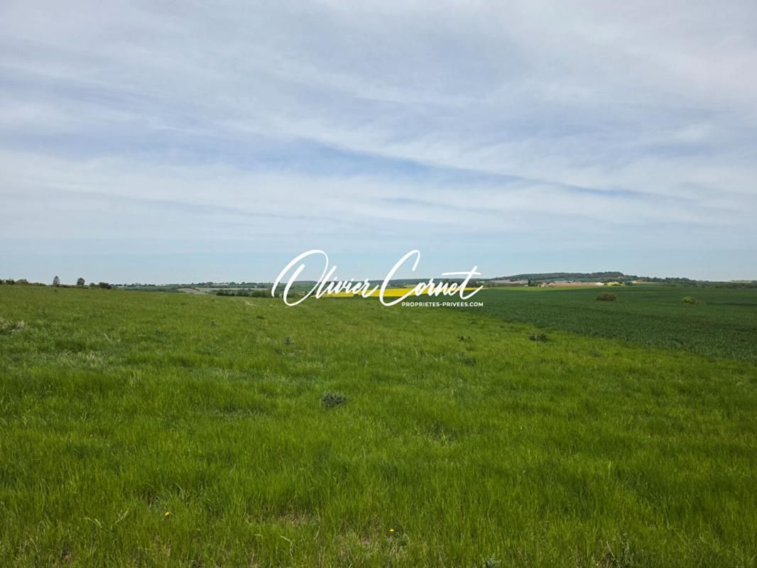 NOGENT-LE-ROTROU Longère rénovée 120 m² proche Nogent Le Rotrou 4