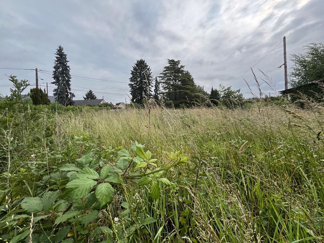 ROMORANTIN-LANTHENAY Terrain Romorantin Lanthenay 15260 m2 3