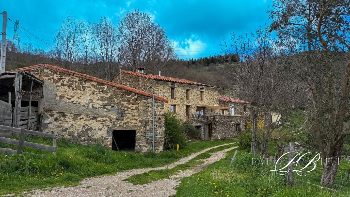 AMELIE-LES-BAINS-PALALDA Proprieté Eco-rurale de 54 ha 2