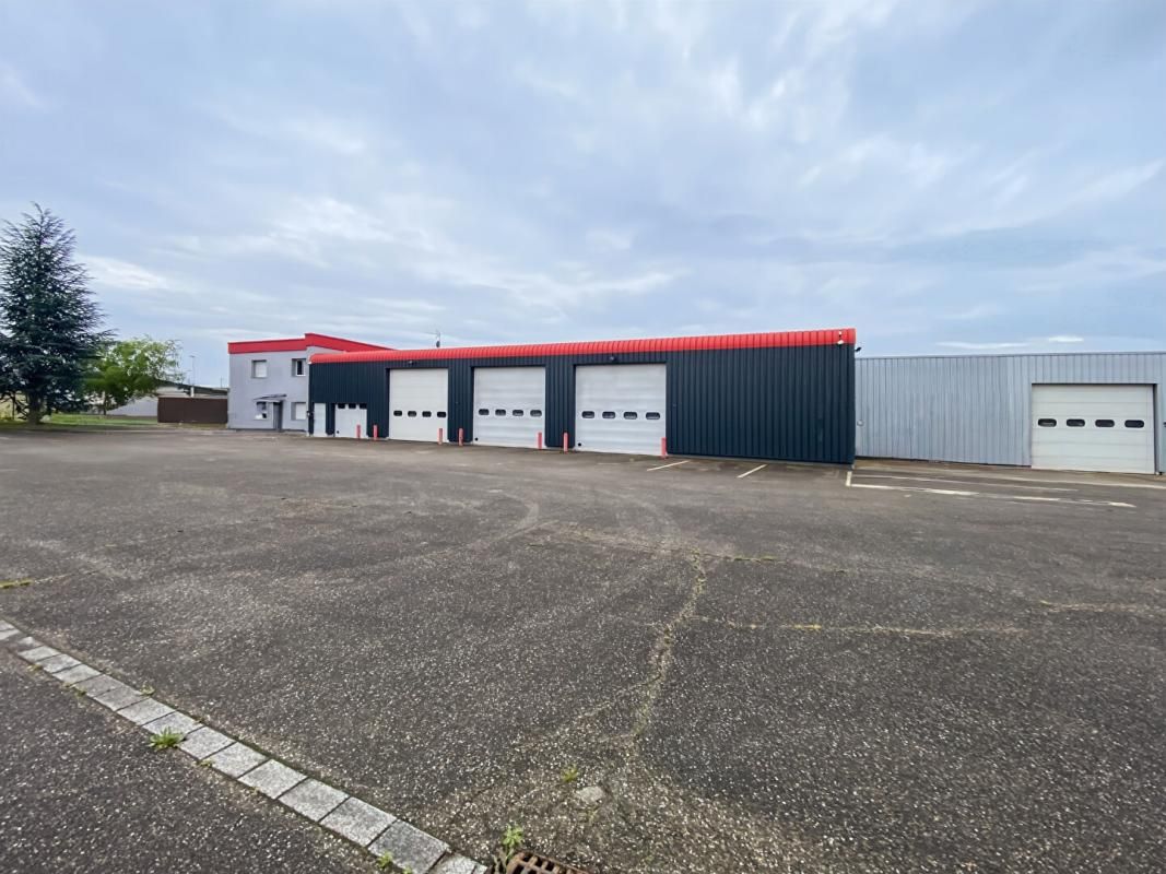 WITTENHEIM Ensemble immobilier mixte Entrepôts + bureaux + logements+terrain Wittenheim 68720 3
