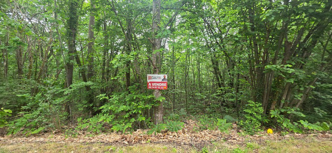 Terrain boisé constructible, d'une surface de 2361 m², CU opérationnel, sur la commune de Boulazac Isle Manoir