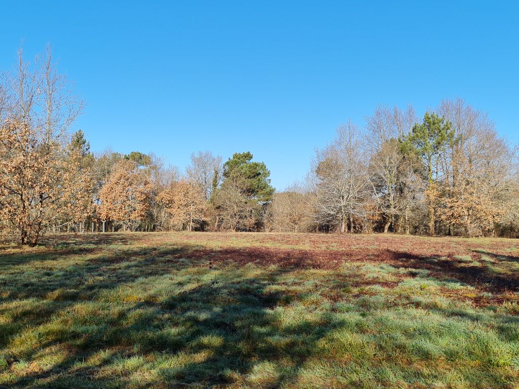 SAINT-LAURENT-DES-HOMMES 24400  proche Mussidan Terrain  en partie boisé de 11408 m² dont  constructible 4000m² 2 lots 1