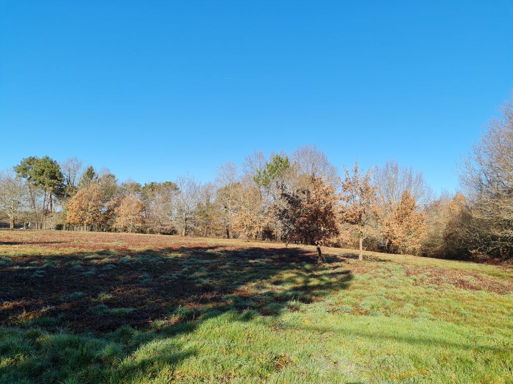 SAINT-LAURENT-DES-HOMMES 24400  proche Mussidan Terrain  en partie boisé de 11408 m² dont  constructible 4000m² 2 lots 4