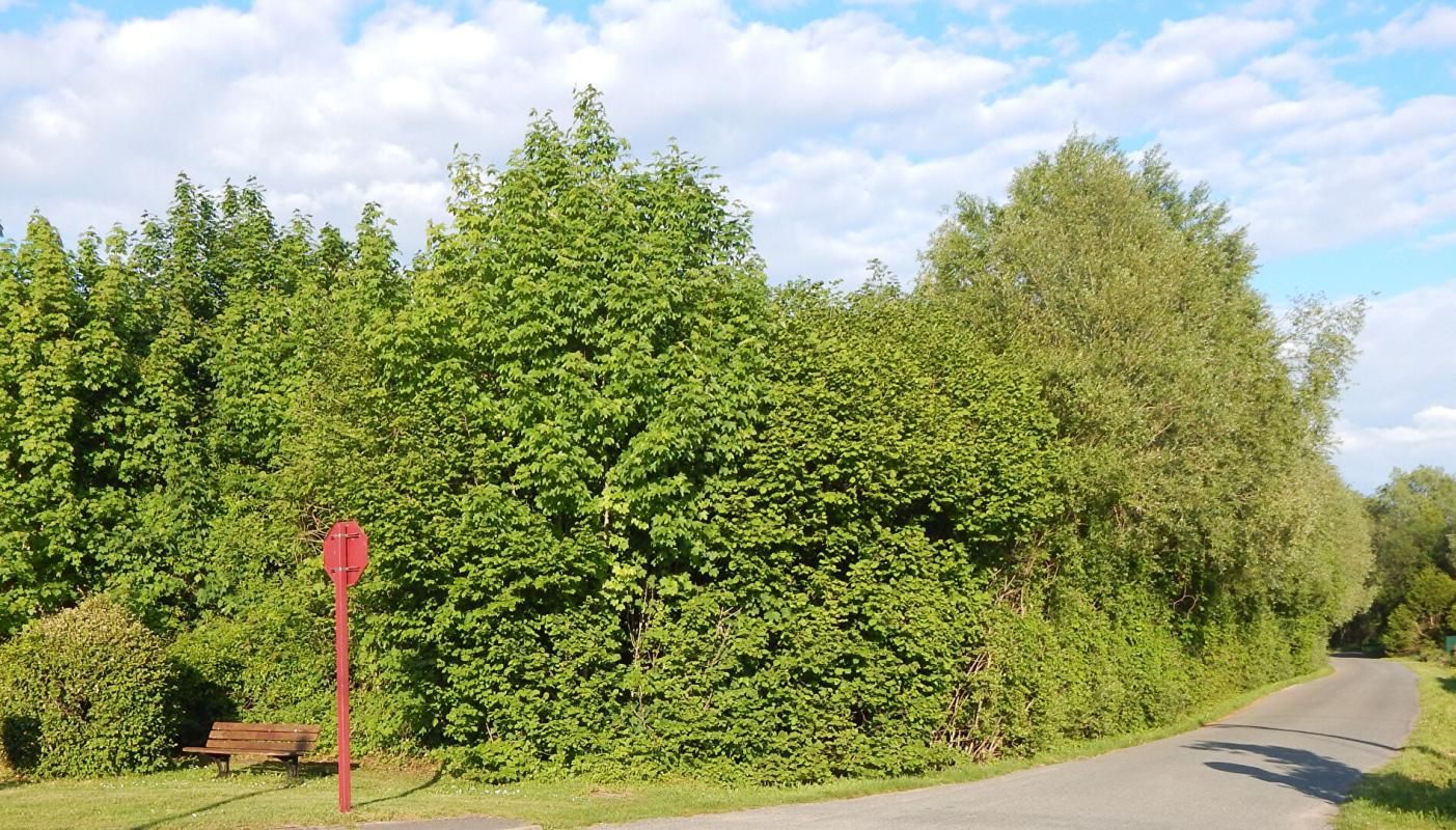PONT-REMY Terrain constructible 2