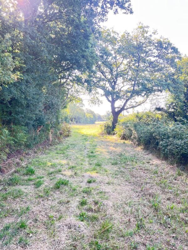 SARZEAU Terrain 1001 m² avec Permis accordé pour une maison de 120 m² 2