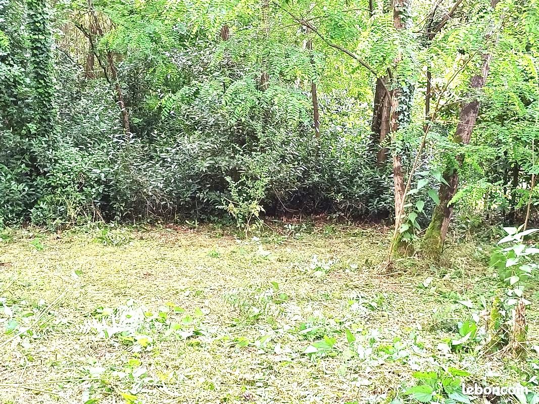 Terrain 558 m2
