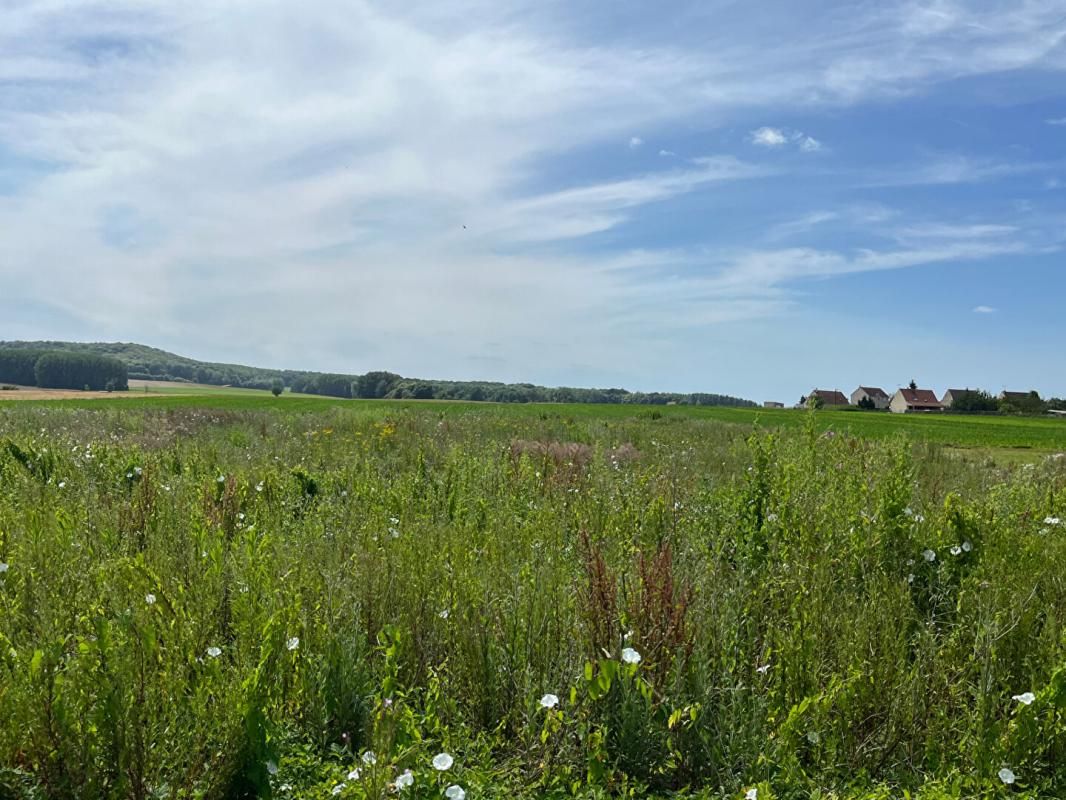 BEAURAINS-LES-NOYON Terrain Constructible d'une belle surface 3744 m2 1