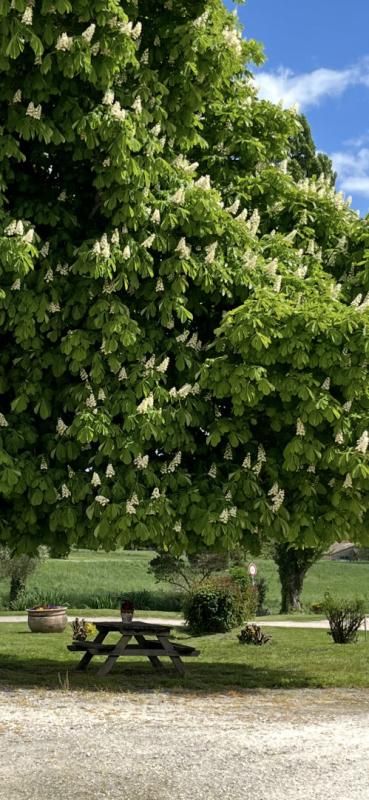 BAIGNES-SAINTE-RADEGONDE Propriété de caractère au coeur d'un environnement naturel préservé ? Fort potentiel d'aménagement 3