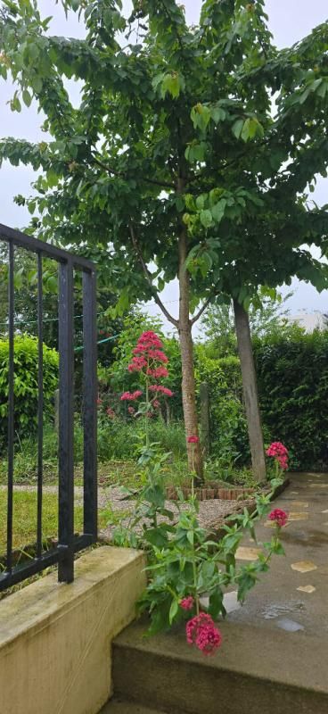 LE MANS Maison LE MANS LES MAILLETS  87 M2 GARAGE JARDIN 3