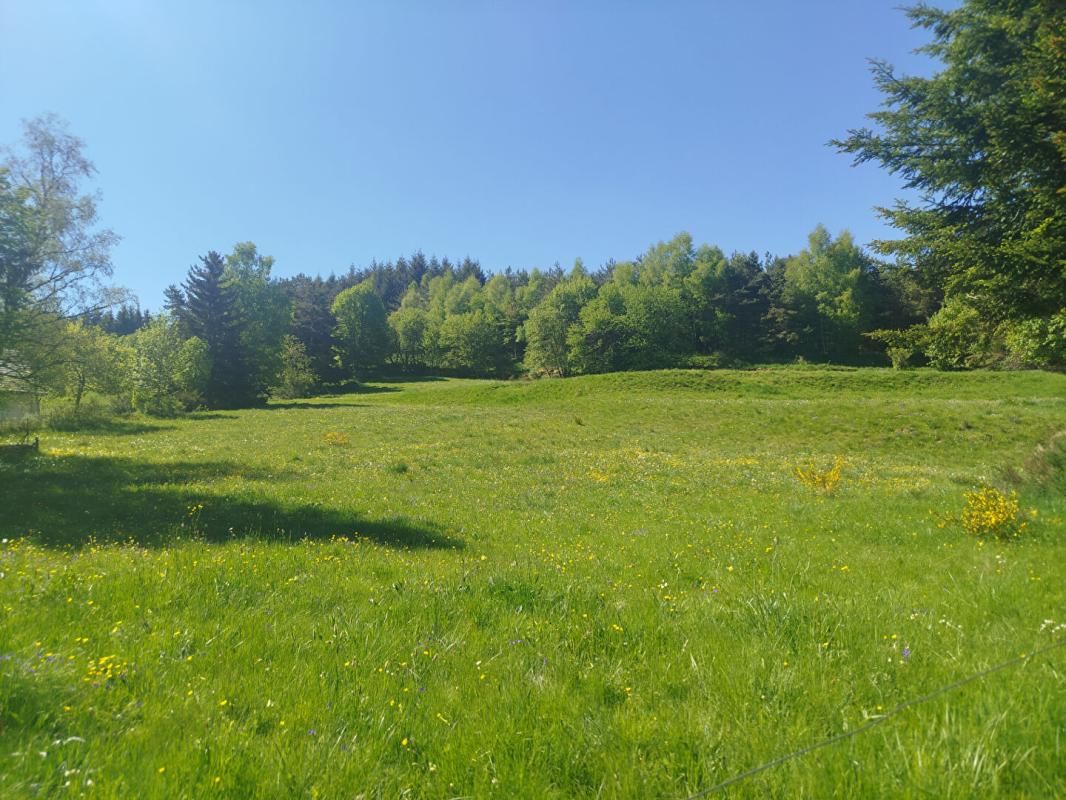 Terrain Constructible Chaudeyrac 6438m²