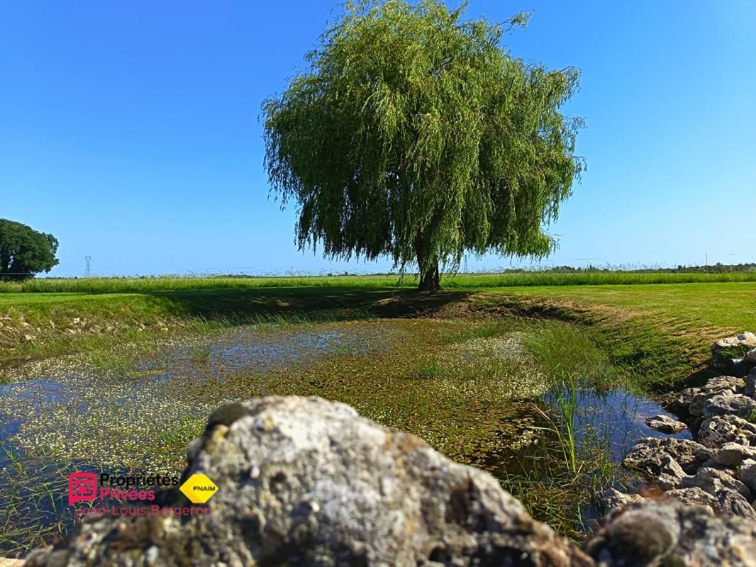 ATHEE-SUR-CHER Longère rénovée109m2 + dépendances à fort potentiel 4