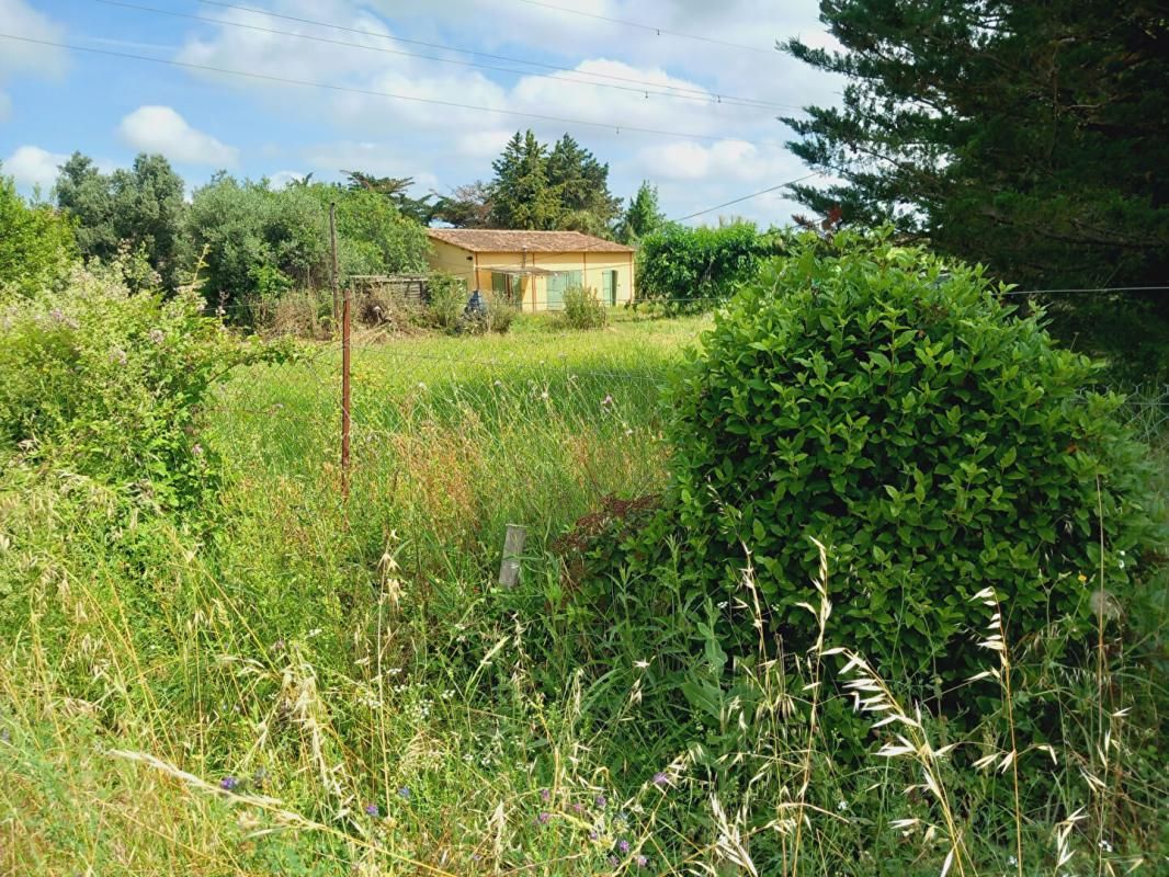 BEZIERS TERRAIN AVEC MAZET  et batiment agricole à Espondeilhan 1