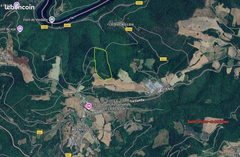 SAINT-VICTOR-ET-MELVIEU Domaine forestier de 4,3 hectares - Bois de châtaigniers et chênes à Saint-Victor-et-Melvieu 1