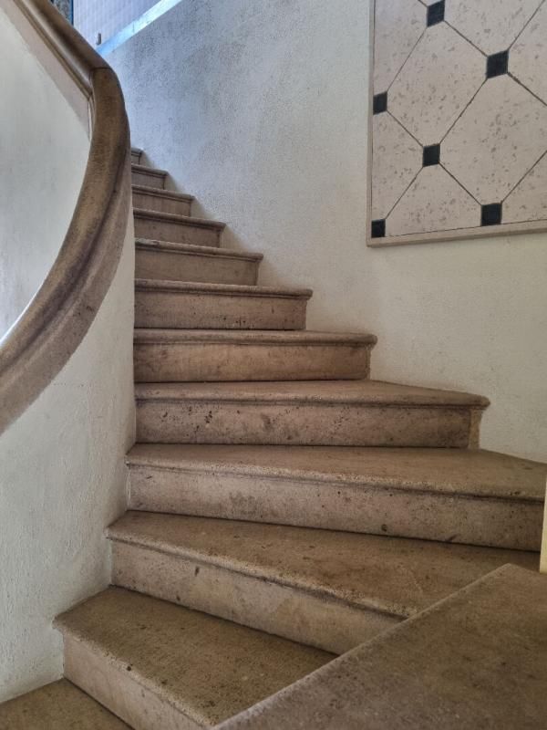 CHATEAUNEUF-SUR-CHER DEMEURE BOURGEOISE DU 19ème siècle au centre de CHATEAUNEUF SUR CHER 4