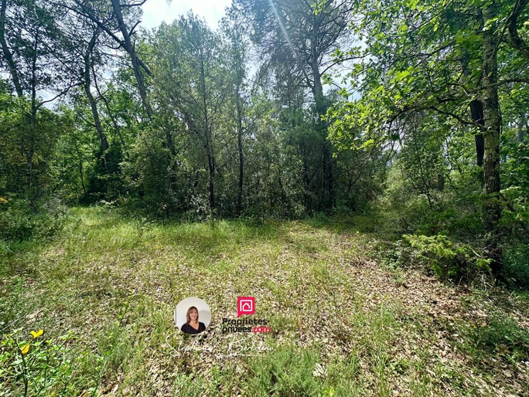 TRANS-EN-PROVENCE Terrain plat de 7530 m2 2