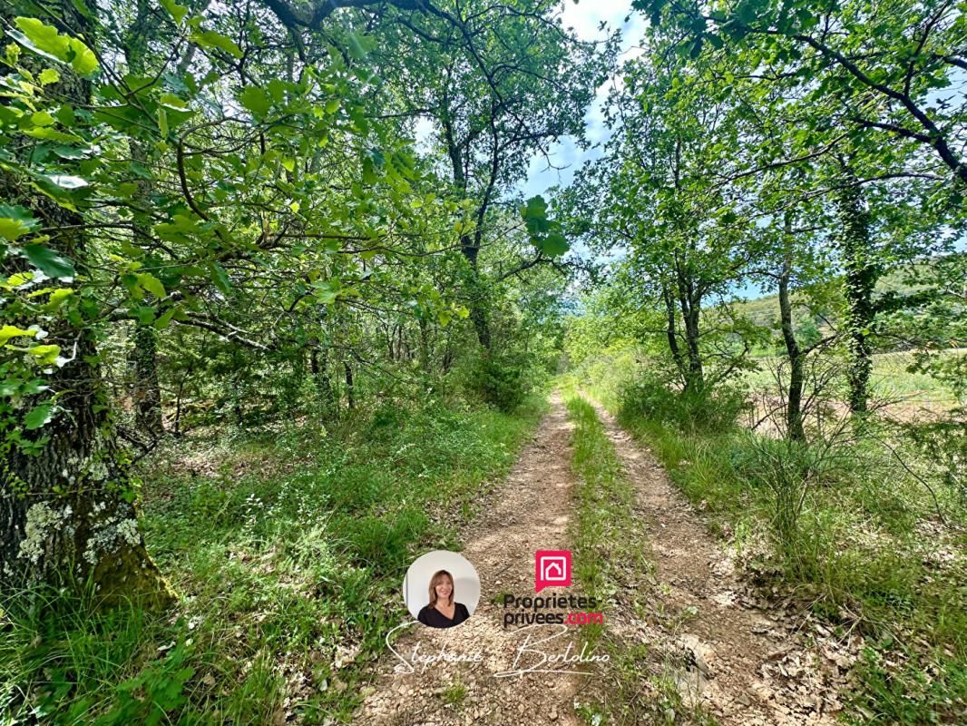 TRANS-EN-PROVENCE Terrain plat de 7530 m2 3