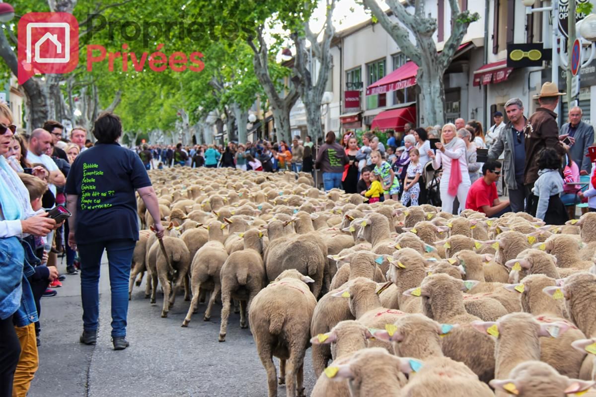 MANDAT EXCLUSIF - Terrain à Batir - Saint Martin De Crau