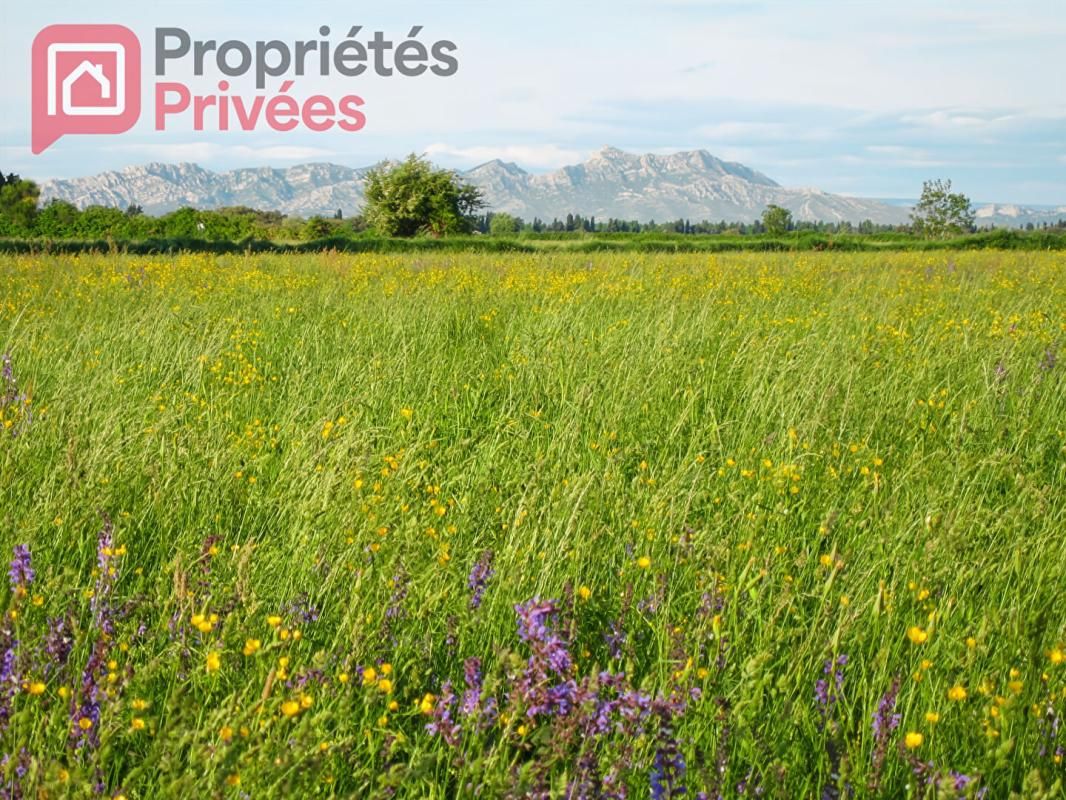 SAINT-MARTIN-DE-CRAU MANDAT EXCLUSIF - Terrain à Batir - Saint Martin De Crau 2