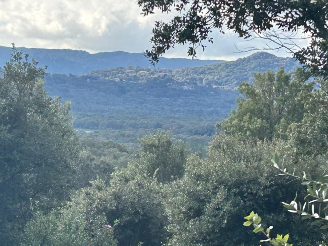 SOTTA Porto Vecchio - Corse du sud - Bergerie 4 pièce(s) 80 m² 2