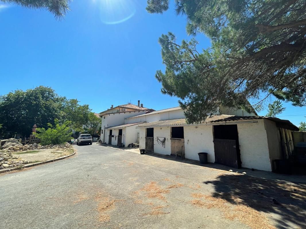 SERVIAN Propriété avec gîtes et écuries - Servian - 592 000 euros 3