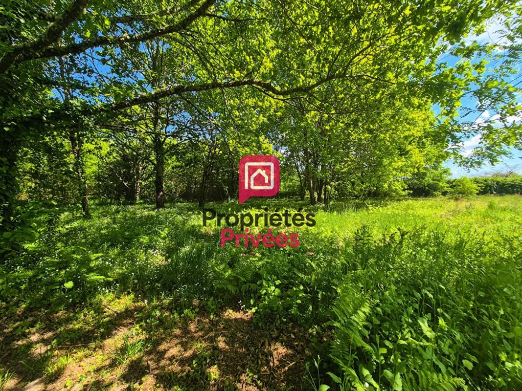 BAZAS Ensemble foncier 14 321 m2 - 2 Terrains constructibles + bois attenant 2