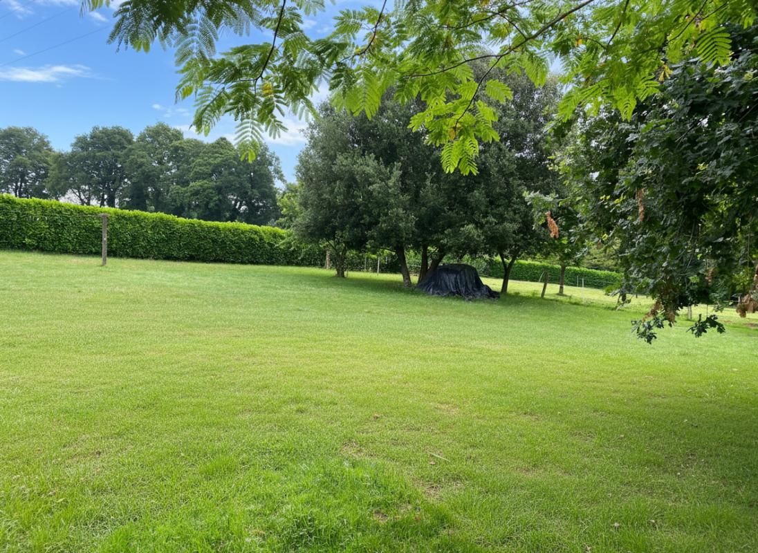 PLESCOP Plescop 5' de Vannes calme maison de 155M2 sur une parcele 1500M2 4