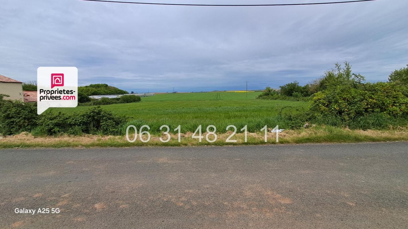 MONTREUIL TERRAIN CONSTRUCTIBLE 1621 M2 NON VIABILISE 1