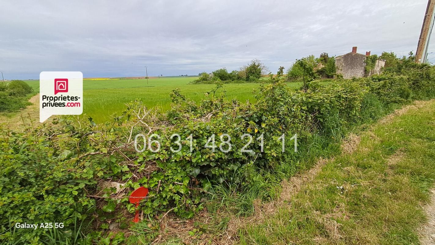 MONTREUIL TERRAIN CONSTRUCTIBLE 1621 M2 NON VIABILISE 2