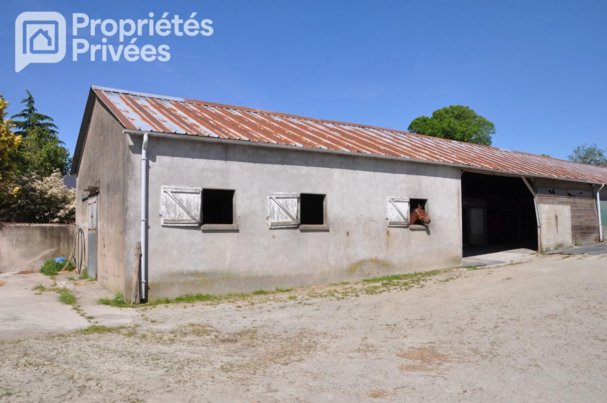 LAVAL MAYENNE - CENTRE EQUESTRE 7 HECTARES, HANGAR, STUDIO 3