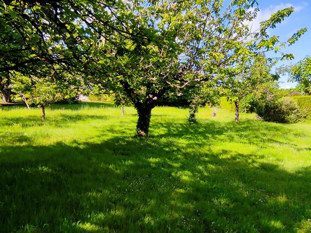 PREUILLY-SUR-CLAISE Maison de plain pied Preuilly Sur Claise 5 pièce(s) 109 m2 3