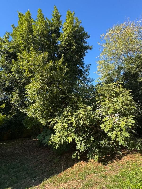 SAINT-LOUBES Maison à Saint Loubès de 4 pièces de 82 m² - Garage - Terrain de 981 m² 4