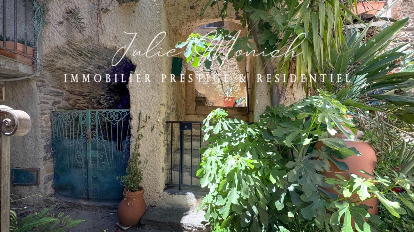 BANYULS-SUR-MER APPARTEMENT 2 CHAMBRES, CAVES, JARDIN 1