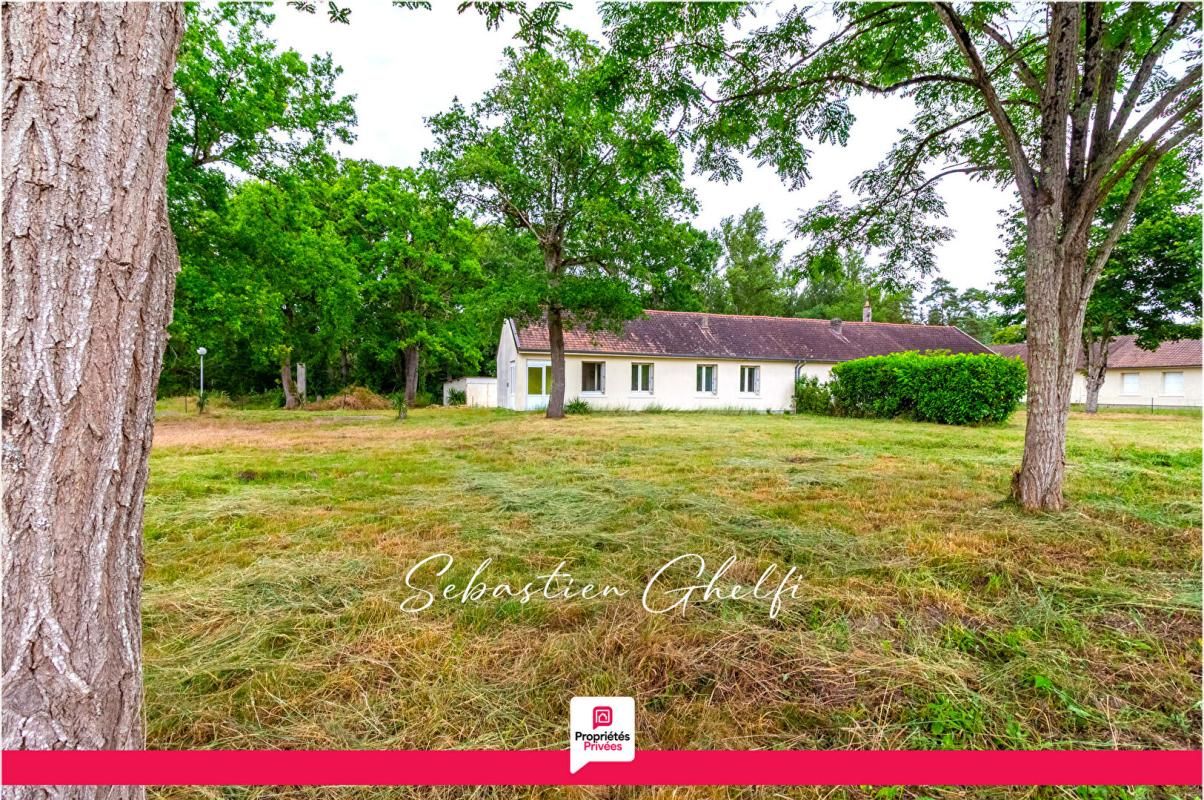 PRUNIERS-EN-SOLOGNE maison à rénover de plain pied avec 4 chambres terrain de 1110 m² 3