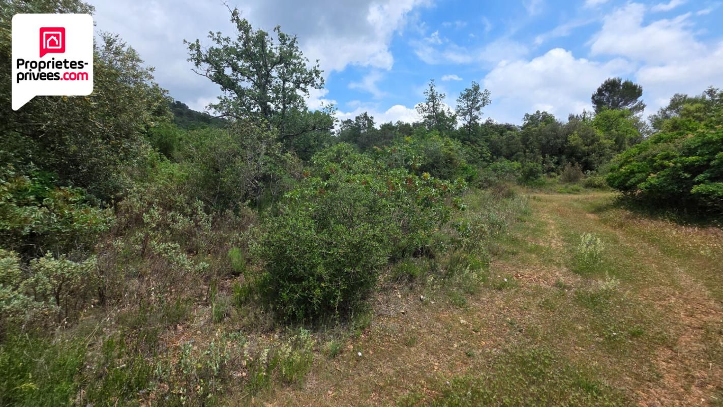 SAINT-CEZAIRE-SUR-SIAGNE Terrain non constructible de 2500 m2 en zone Naturelle 4