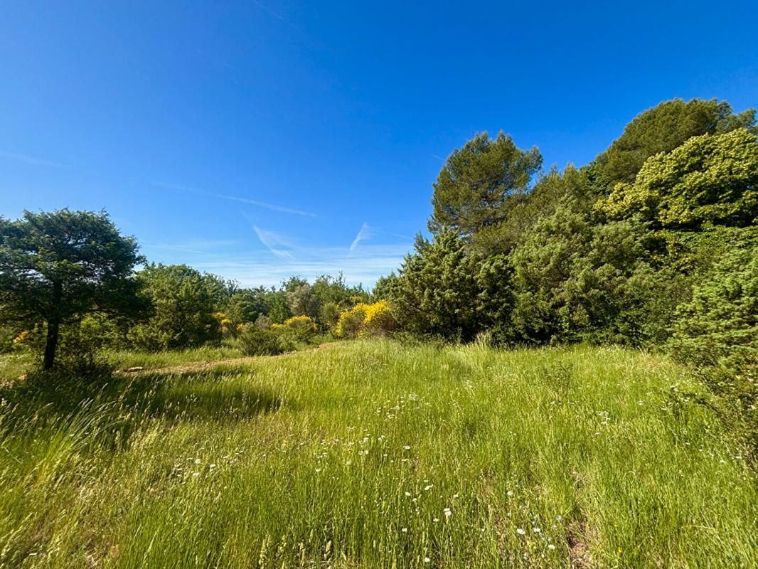 FAYENCE PROPRIÉTÉ DE CHARME AU COEUR DE LA NATURE 3