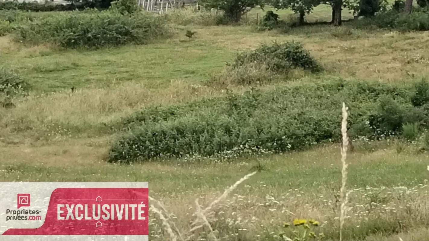 BRIVE-LA-GAILLARDE Terrain constructible dans un quartier calme et verdoyant 2