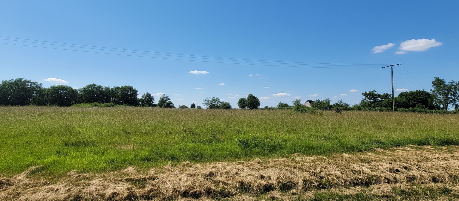PLAZAC Rare! Idéal pour un beau projet de construction: une surface totale d'un hectare dont 4000 m2 constructibles! 1