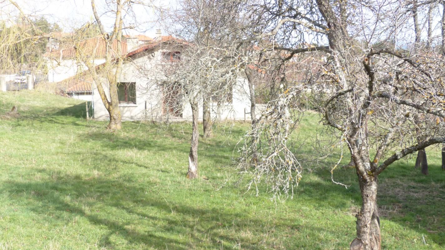 CUSSAC-SUR-LOIRE Maison Cussac Sur Loire 4 pièce(s) 88m² 2