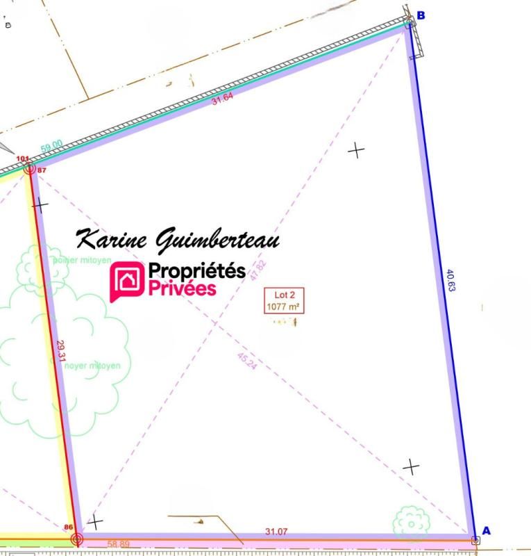 LUSSAC Terrain constructible 1077 m2 - Lussac 2