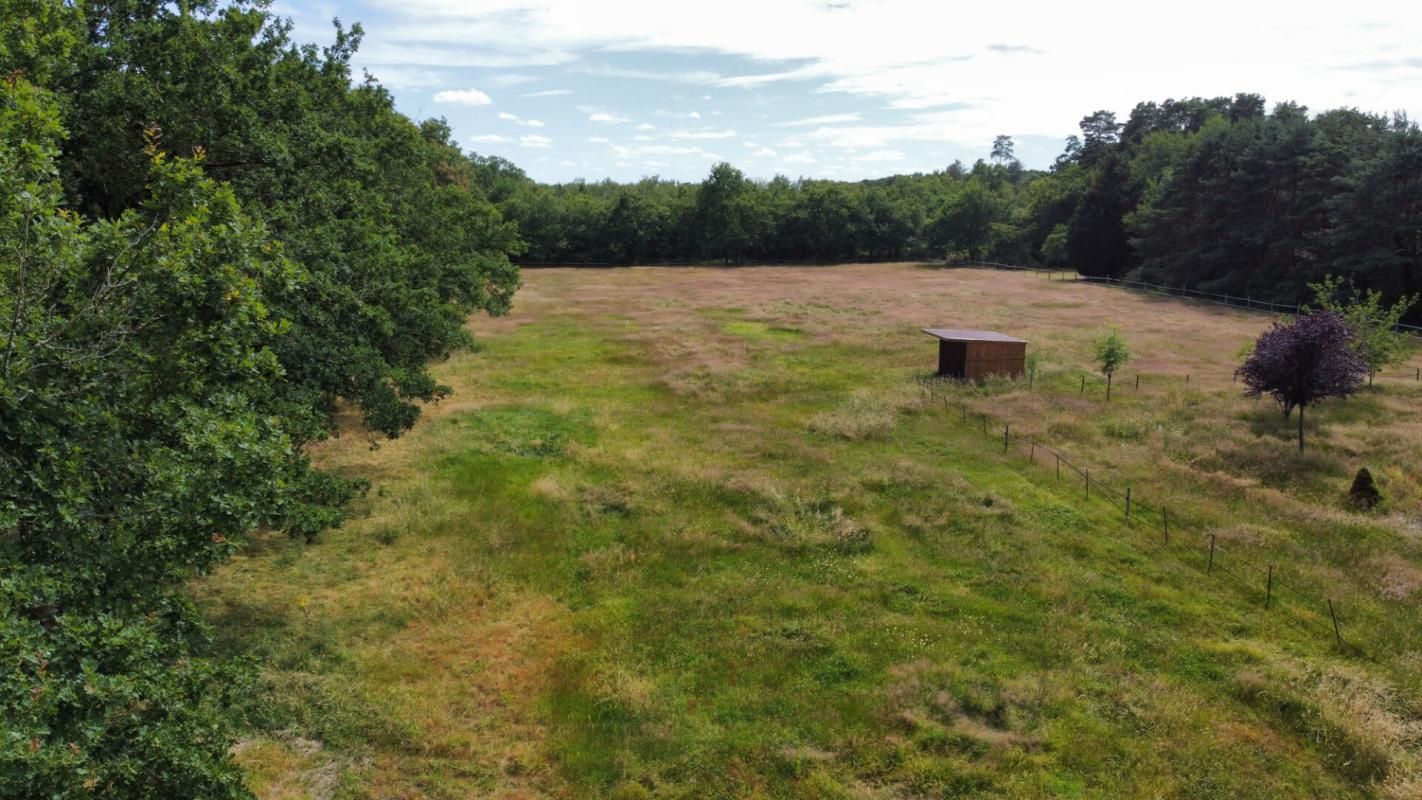 VILLEFRANCHE-SUR-CHER Terrain Villefranche Sur Cher 9000 m2 1