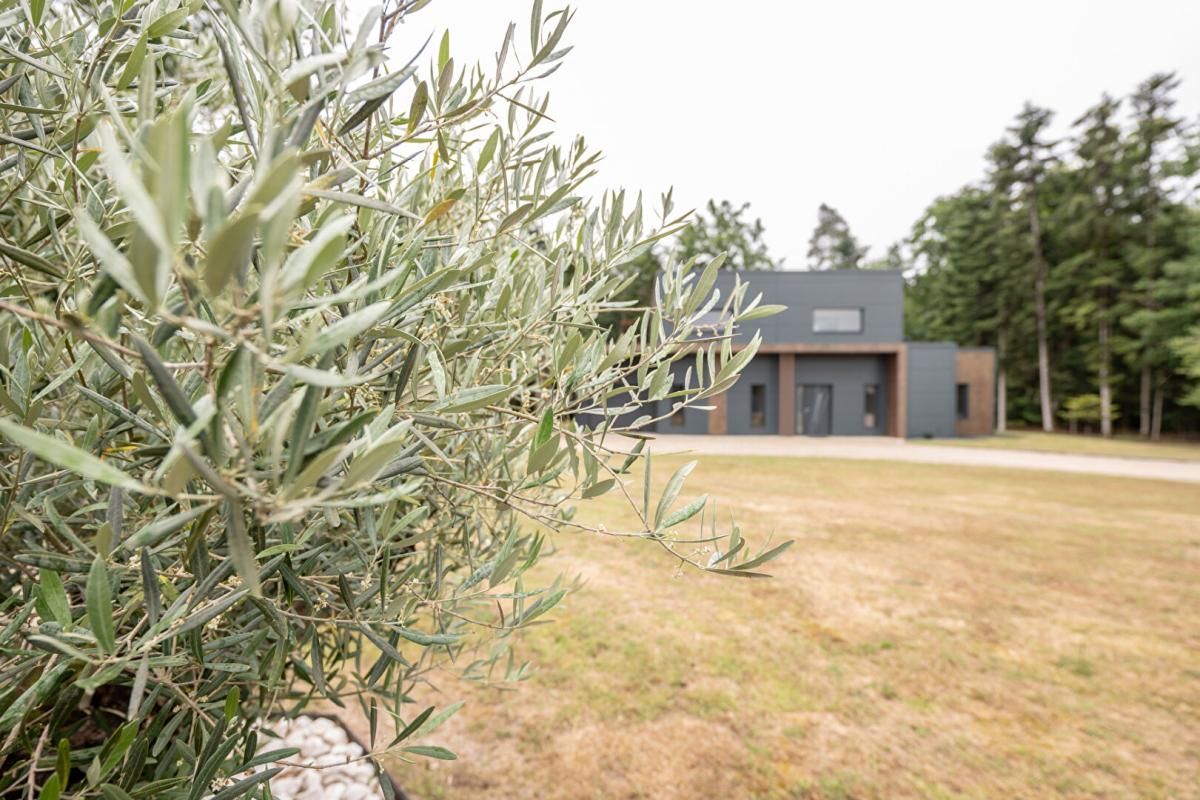 CROUY-SUR-COSSON LIEUX UNIQUES ® PROPOSE MAISON D'ARCHITECTE 146.20 M² - TERRAIN 5.000 M² - 41220 - CROUY S/COSSON 4