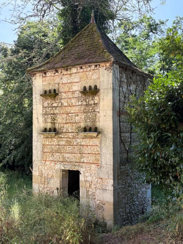 SAINT-ANDRE-ET-APPELLES SUPERBE CHATEAU D'EXCEPTION À RÉNOVER ? VUE PANORAMIQUE SUR LA DORDOGNE 2