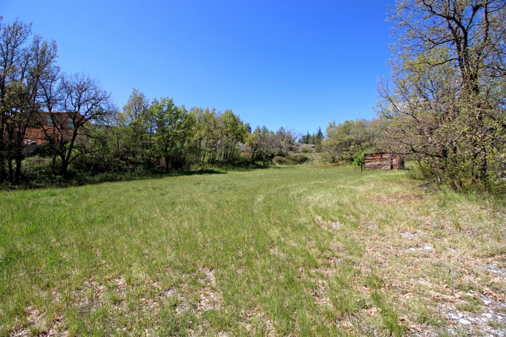 LE BRUSQUET Alpes-de-Haute-Provence :Terrain viabilisé 1733m2 Le Brusquet (04 420) 2