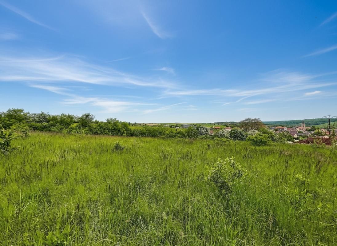 FRANCHEVILLE TERRAIN CONSTRUCTIBLE - 25 MIN de DIJON 1