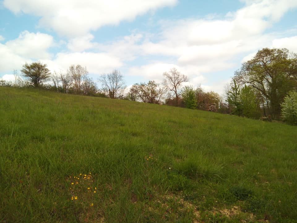FLEURANCE Terrain 1594m² Fleurance (32500)  parcelle 4