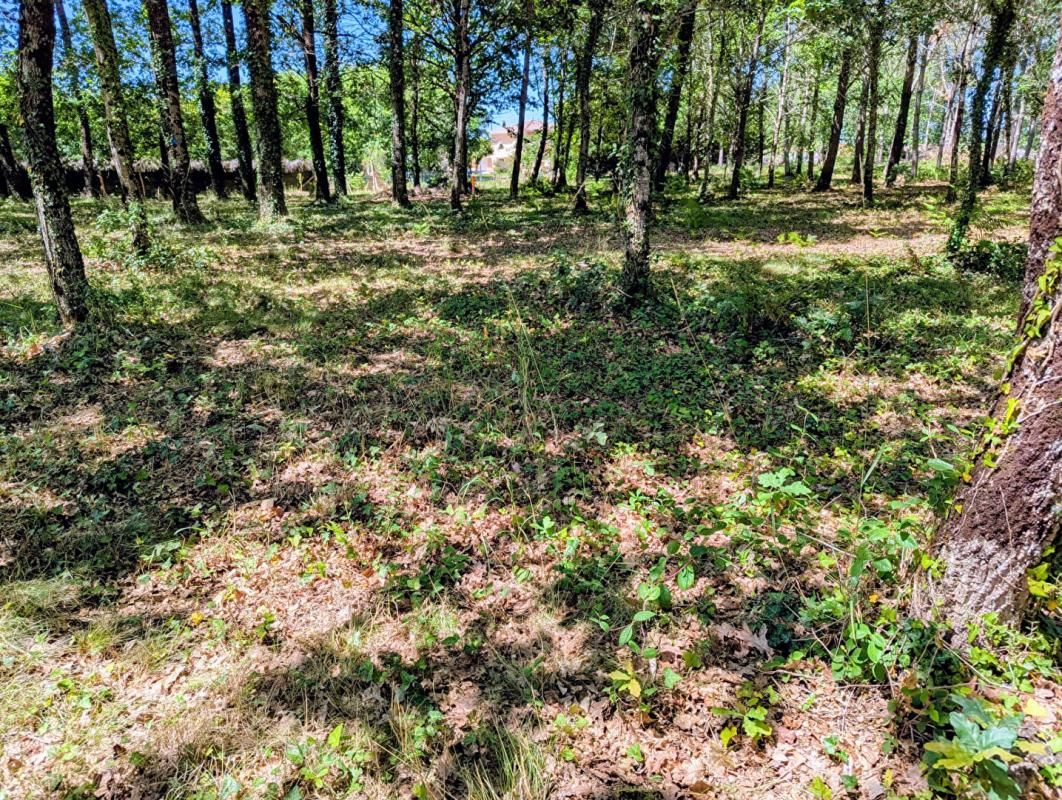 BELIN-BELIET Terrain Belin Beliet 472m2 2