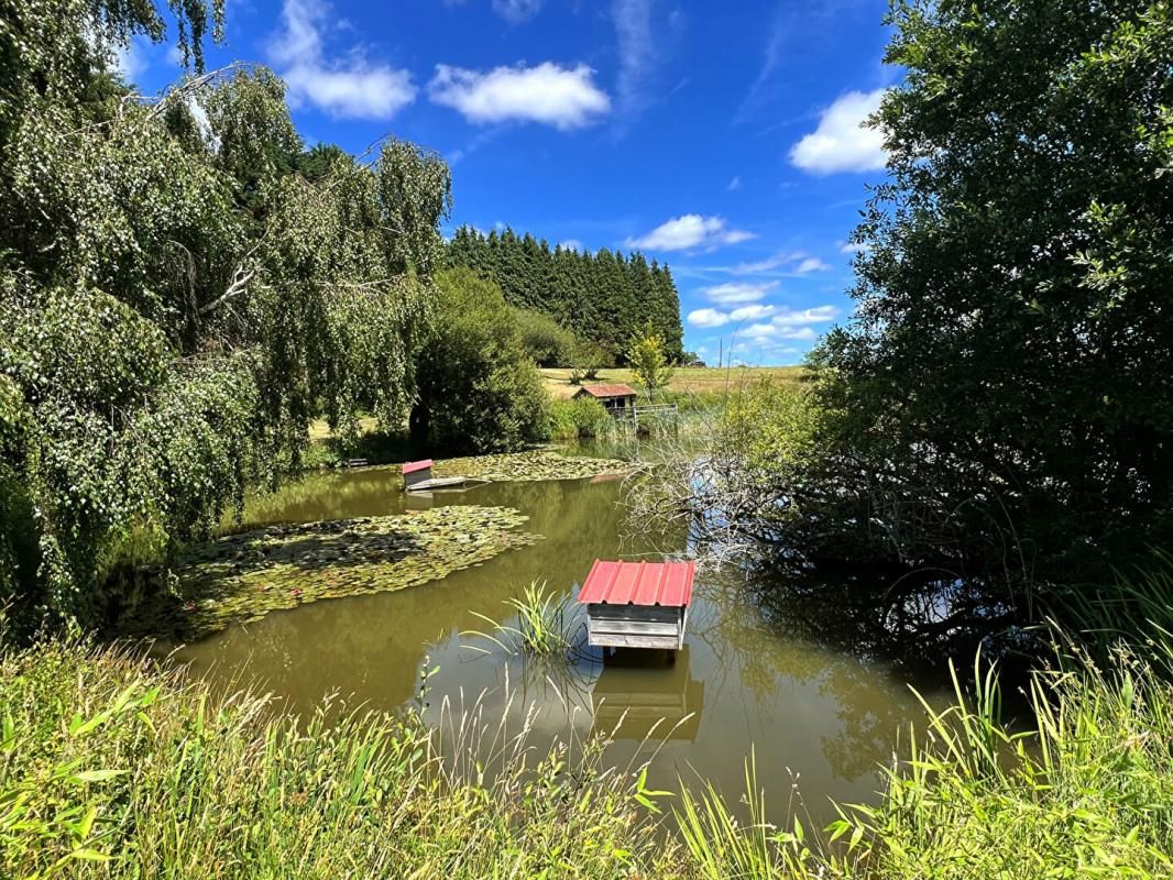 SARLANDE Etang avec chalet 4 pièce(s) 35 m2 3
