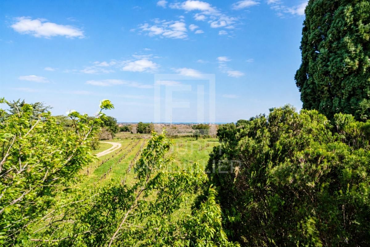ARGELES-SUR-MER Mas catalan sur 3 hectares - Projet de vie, nature, vue mer & Albères 2